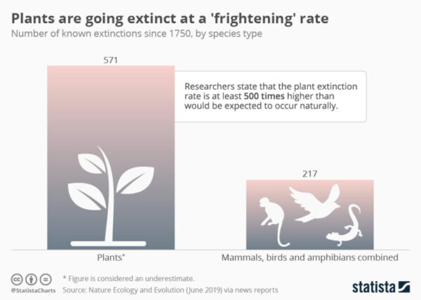 Visual showing number of plant extinctions vs animal extinctions since 1700s