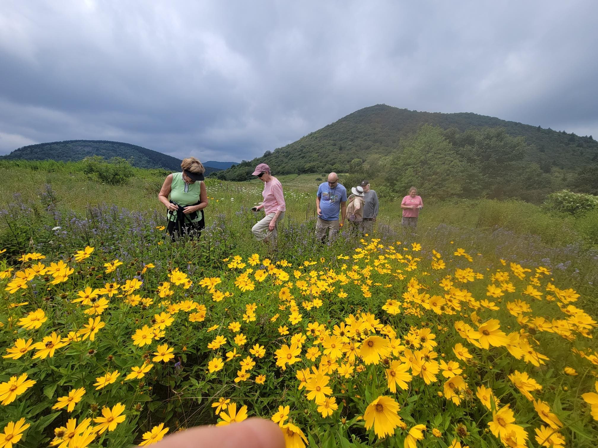 Native plant enthusiasts play in the mountain meadow