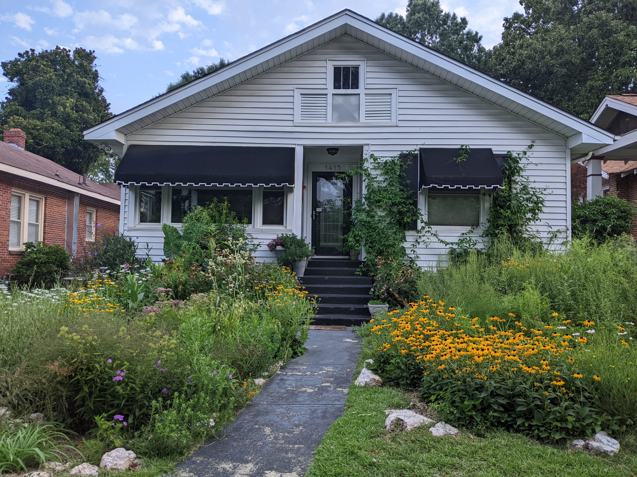 A front yard native plant garden with many a variety of species in Columbia, SC