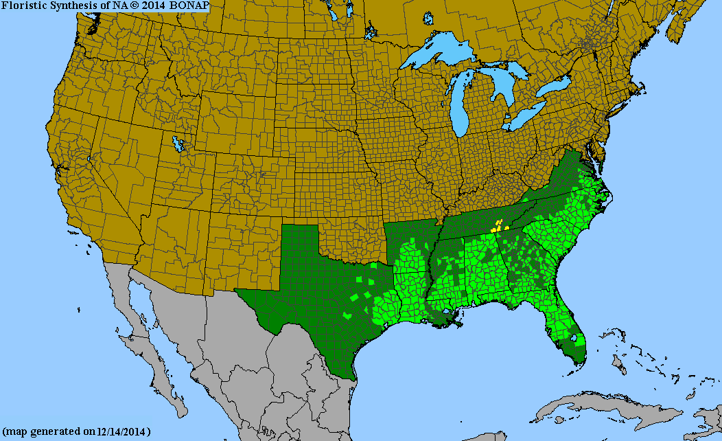 Gelsemium sempervirens range map