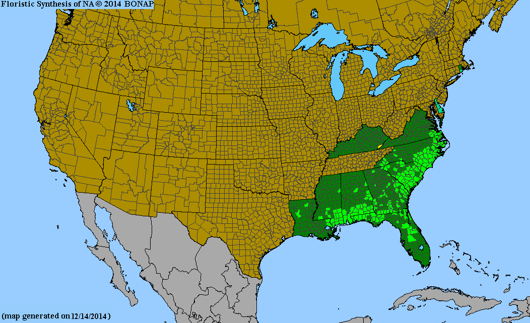 Leucothoe axillaris range map