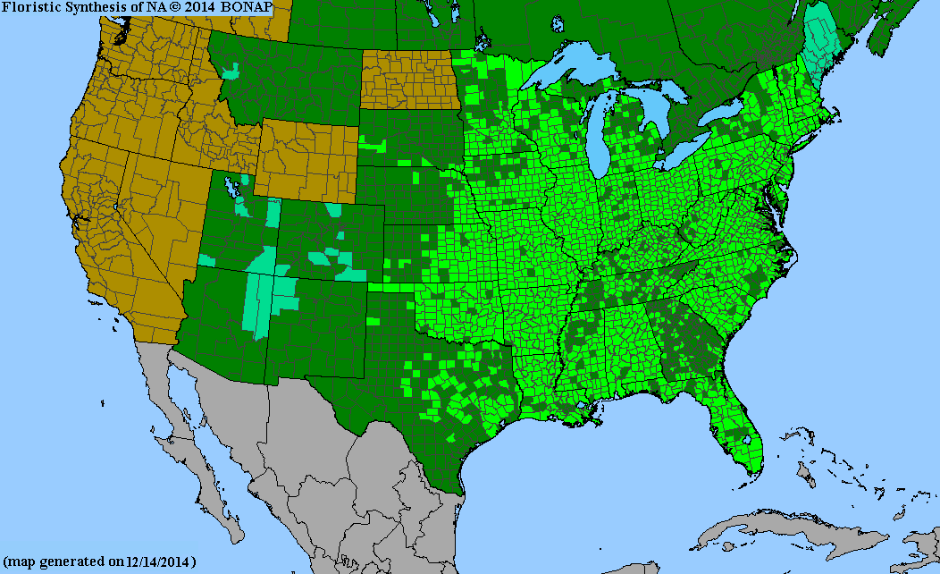 Parthenocissus quinquefolia range map