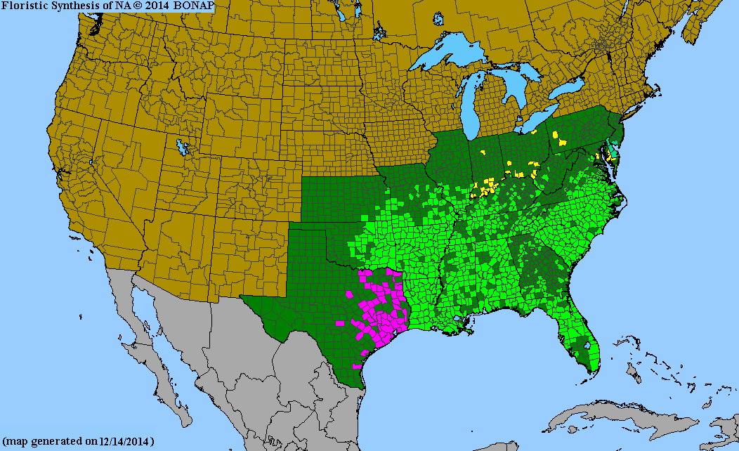 Passiflora incarnata range map