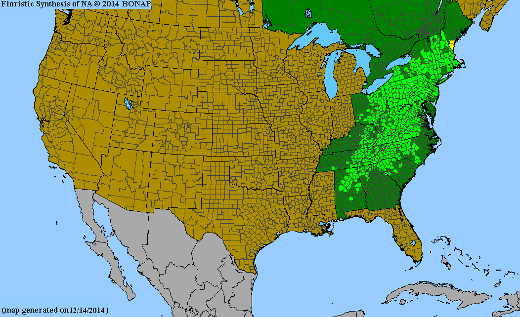 Eurybia divaricata range map